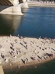 IMG_20260809_172518_846