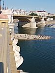 IMG_20260809_172318_742