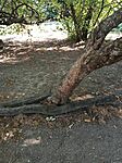 IMG_20260809_160801_422