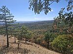 20260906_130612(1)