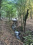 IMG_6648