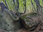 log-image-1788357808819-0