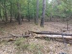 IMG_20260905_101624