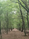 IMG_20260905_094125