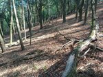 IMG_20260909_121658