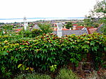 Kilátás