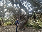 IMG_6624