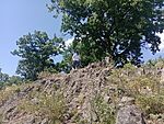 IMG_20260623_133347631_MFNR