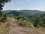 IMG_20260623_133437261_MFNR