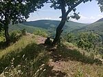 IMG_20260623_135223947_MFNR