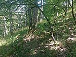 IMG_20260623_135757459_MFNR
