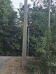IMG_20260906_184222