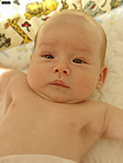 Andris<br>(született: 2006.01.07)<br>11 hetesen 3 ládát talált meg elsőre egy menetben...