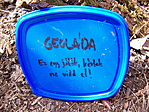 2006 03 25 Az első megtalált geoláda!