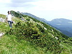 Királykő