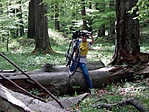 Trackingelés trekkingbiciklivel Trackingelés trekkingbiciklivel