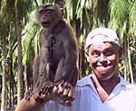 Koh Samui - Monkey farm