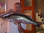 Bajai süllő 5,35kg