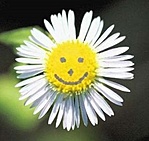 Smile again!