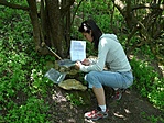 az elveszett logbook esete (GCstra)