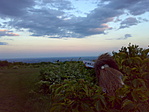 <a href="http://www.geocaching.com/track/details.aspx?tracker=TB1D42A">WurzelSepp TB</a> @ Budapest
