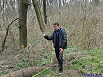 Ócsai láperdőben