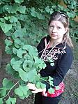 gcalmk