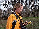 Sárgában
