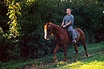 Jóbarát Jóbarát