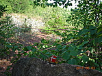 <a href="http://www.geocaching.com/track/details.aspx?tracker=TB17FT6">"Alicek's Signal Geocoin - Oct 06</a> @ Pálköve