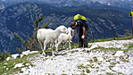 Vogel csúcs (SLO)