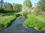 Raposka Raposka
