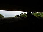 Atlanti fal bunker, Normandia, Franciaország