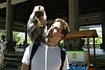 haverom (Ubud) haverom (Ubud)