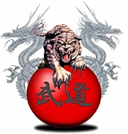 budo tiger(1)