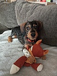 IMG_20210219_120457 IMG_20210219_120457