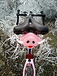 IMG_20200103_145101_9 IMG_20200103_145101_9