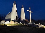 IMG_0429