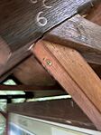 IMG_2672