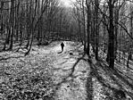 20220314_140201 (1)