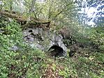 IMG_8273