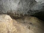 IMG_8270