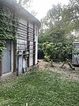 IMG_8124