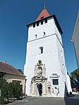 Nagyszalonta (RO)
